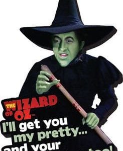 The Wizard of Oz Funky Chunky Magnet I'll Get You...