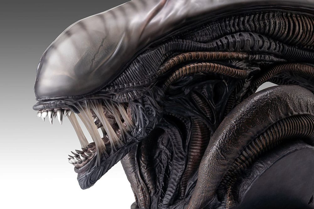 Alien Romulus Bust 1/1 Xenomorph 53 cm - Image 2
