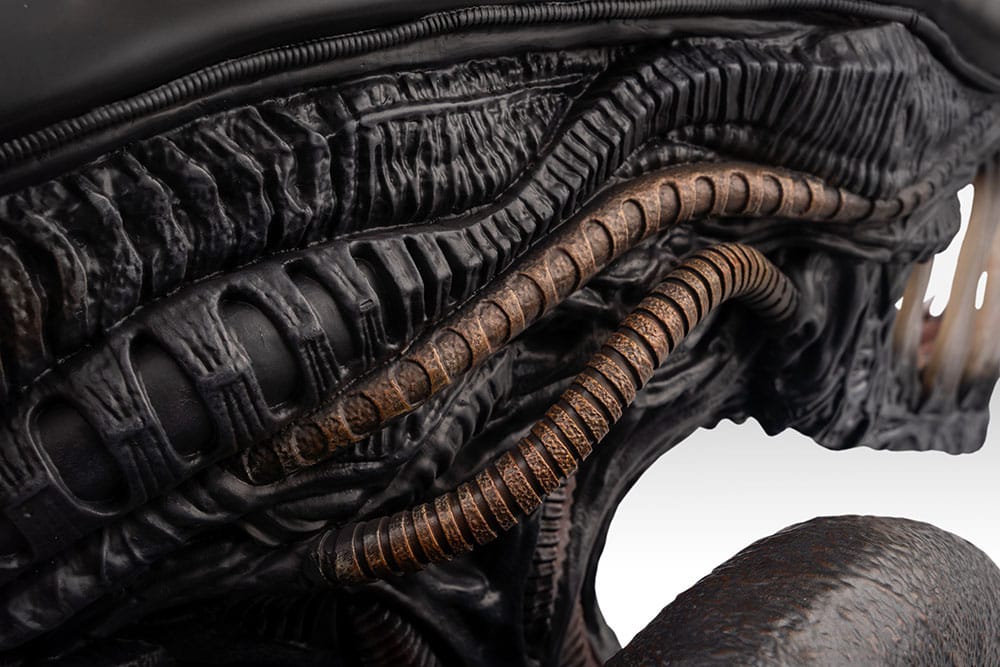 Alien Romulus Bust 1/1 Xenomorph 53 cm - Image 6