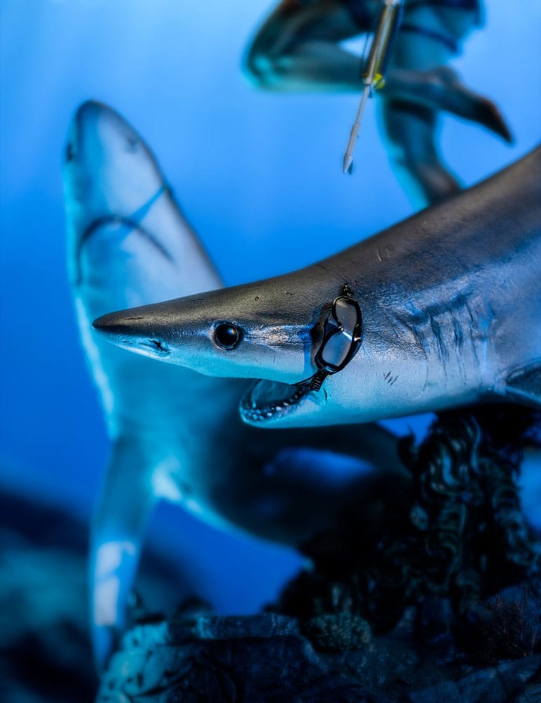 Tomb Raider Statue 1/4 Lara Croft-Quest for Avalon 74 cm - Image 10