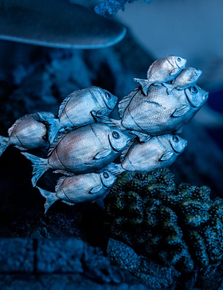 Tomb Raider Statue 1/4 Lara Croft-Quest for Avalon 74 cm - Image 11