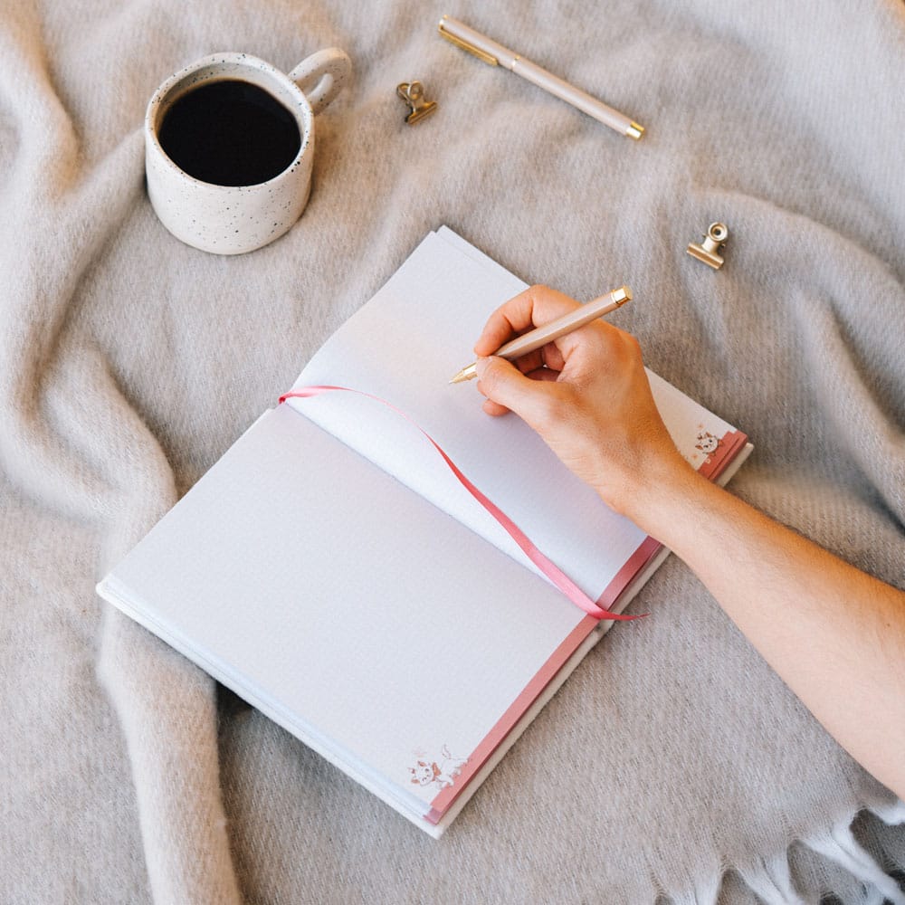 The Aristocats Premium Plush Notebook A5 Bonjour Marie - Image 3