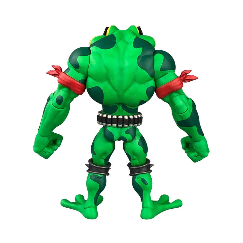 Battletoads Anthology Series Action Figure Wave 1: Rash 15 cm - Image 6