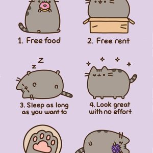 Pusheen Poster Pack Reasosn to be a Cat 61 x 91 cm (4)