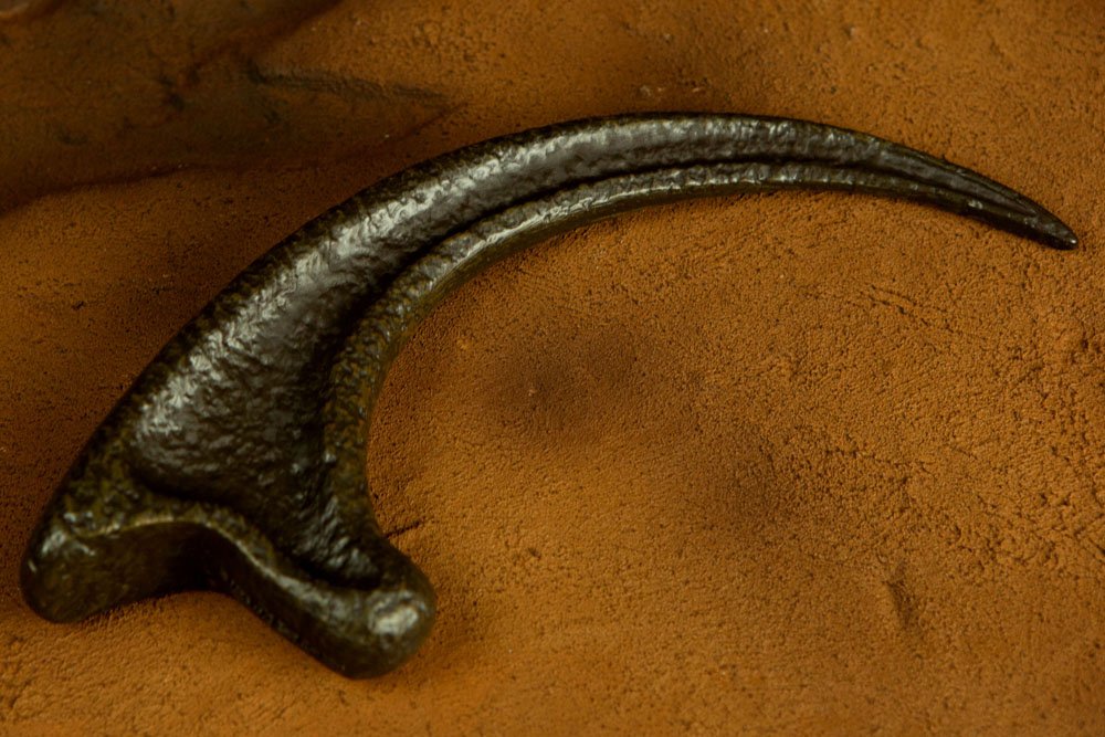 Jurassic Park Replica 1/1 Raptor Claw - Image 8