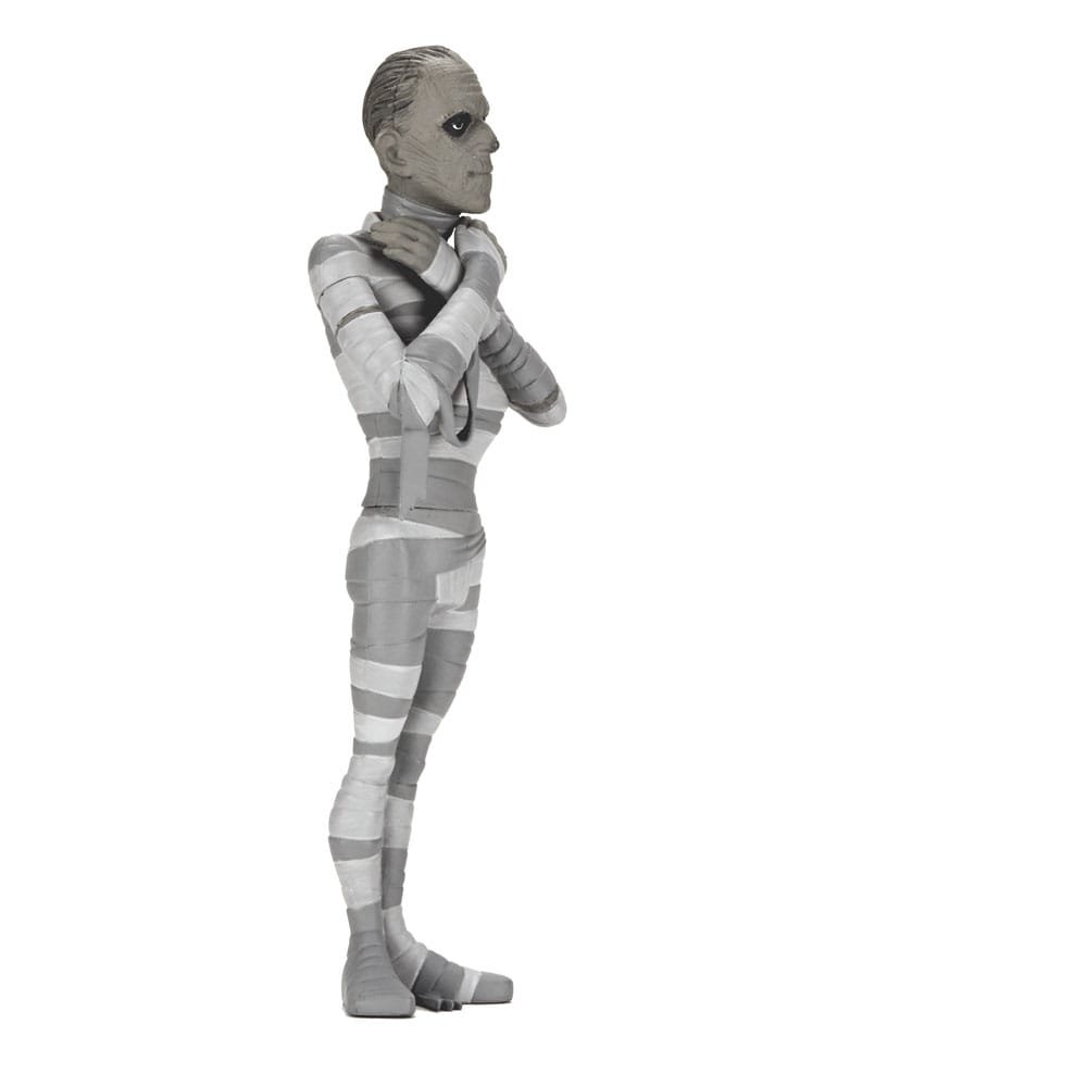 Universal Monsters Toony Terrors Action Figures 15 cm Series 10 Silver Screen Edition Assortment (12) - Image 10