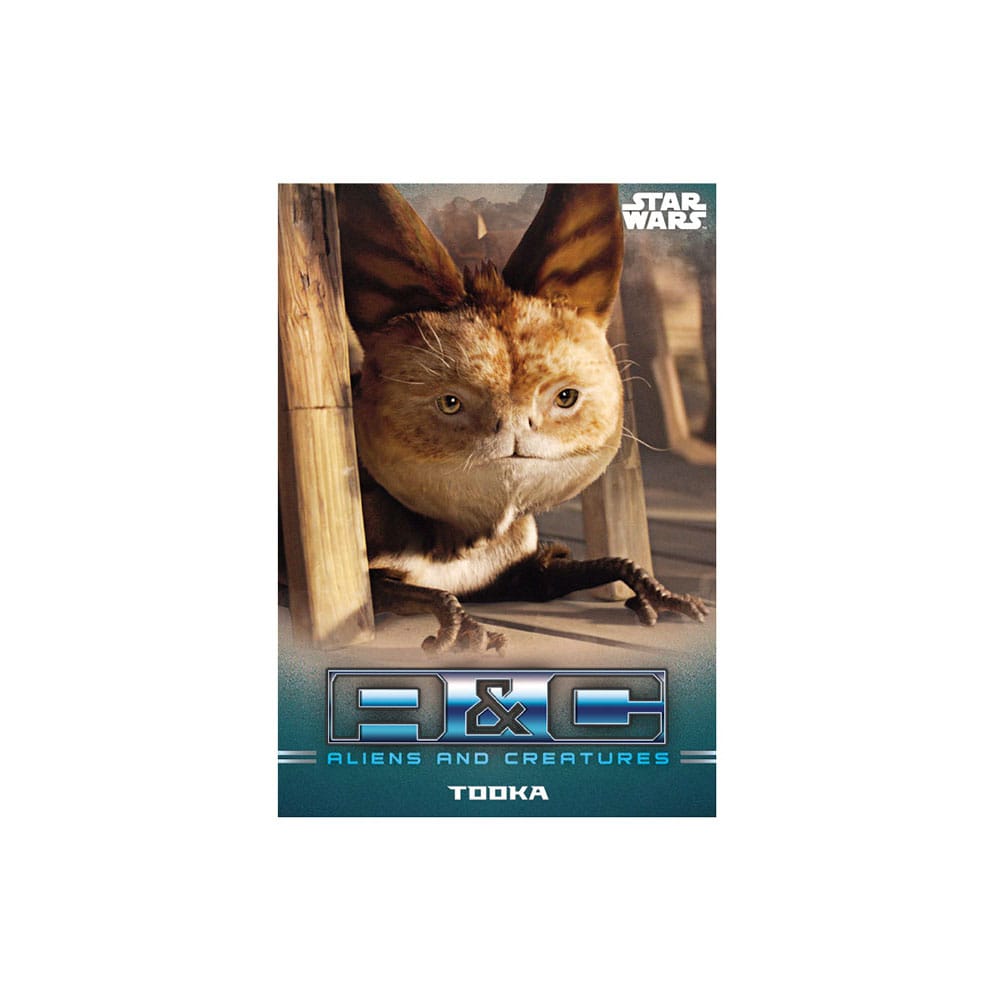 Star Wars: The Mandalorian Trading Cards Starter Pack *English Version* - Image 2