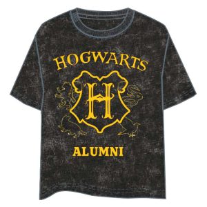 Harry Potter Hogwarts adult t-shirt