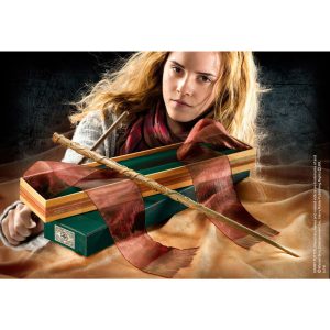 Harry Potter Hermione Granger