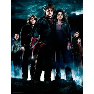 Harry Potter Group glass poster