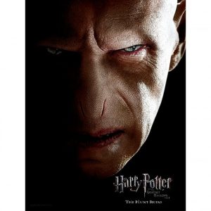 Harry Potter Voldemort Face glass poster