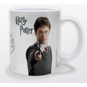 Harry Potter ceramic mug