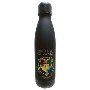 Harry Potter Hogwarts aluminium bottle