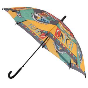 Harry Potter automatic transparent umbrella 48cm