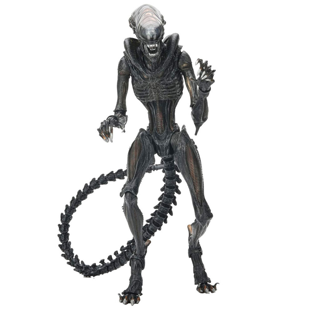Alien Romulus Scorched Xnomorph Ultimate figure 23cm - Image 4
