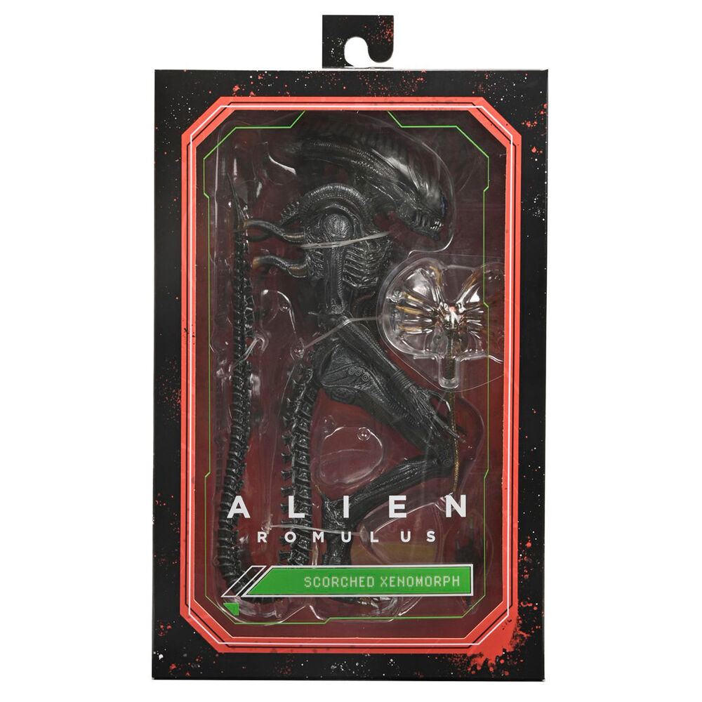 Alien Romulus Scorched Xnomorph Ultimate figure 23cm - Image 2