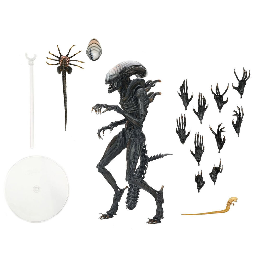 Alien Romulus Scorched Xnomorph Ultimate figure 23cm - Image 3