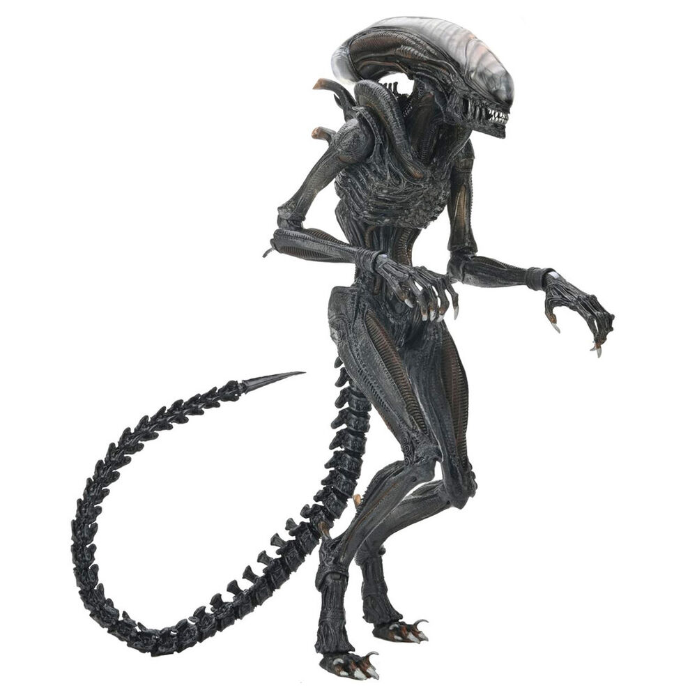 Alien Romulus Scorched Xnomorph Ultimate figure 23cm - Image 5