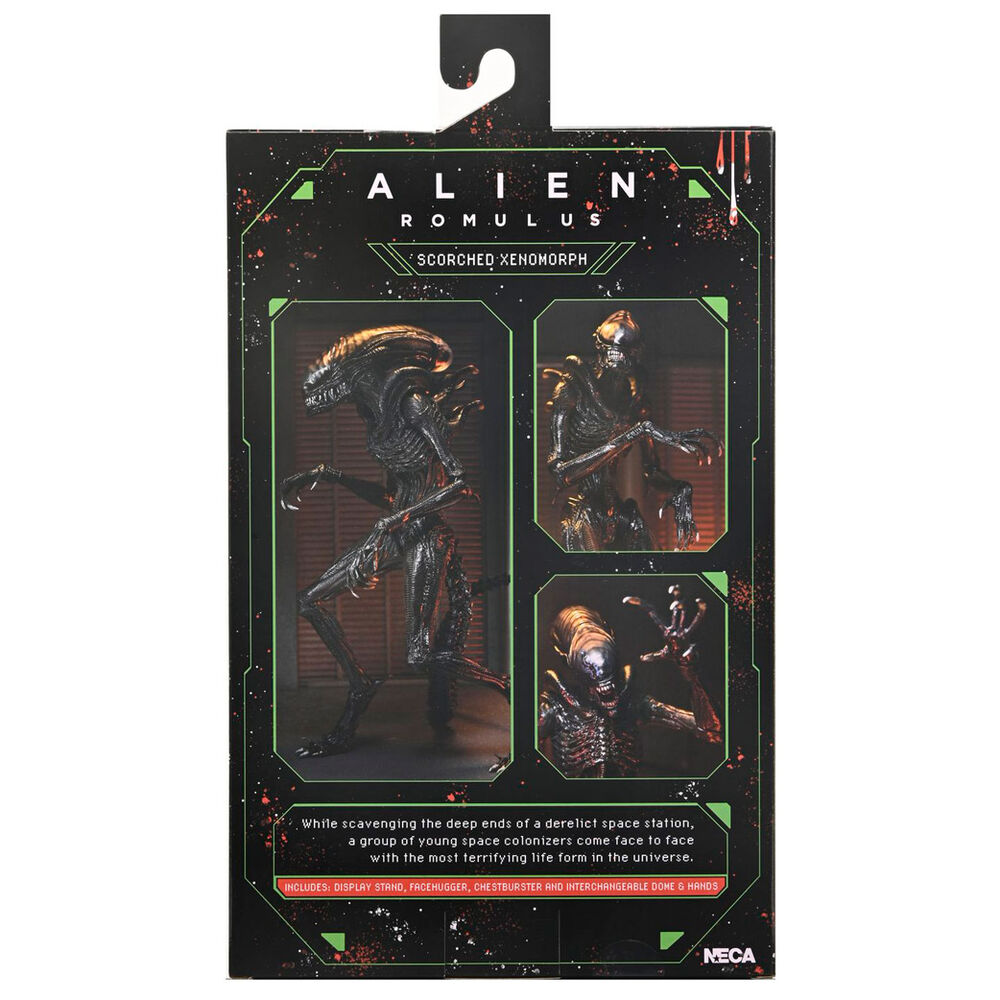 Alien Romulus Scorched Xnomorph Ultimate figure 23cm - Image 6