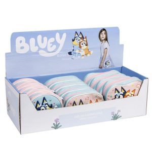 Bluey assorted bag