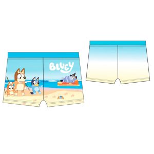 Bluey boxer swimwear