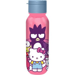 Hello Kitty and Friends bottle 500ml