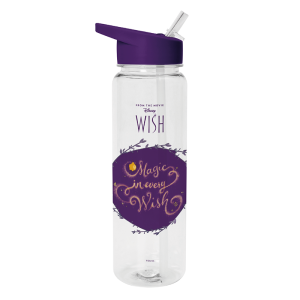 Disney Wish bottle 700ml