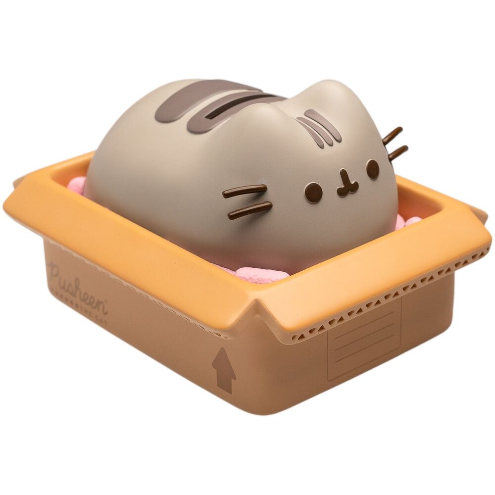 Pusheen money box