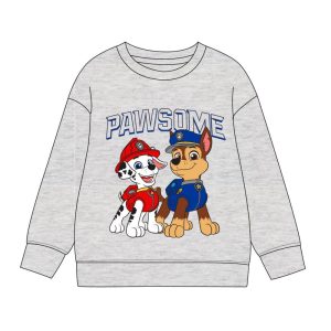 Paw Patrol hoodie