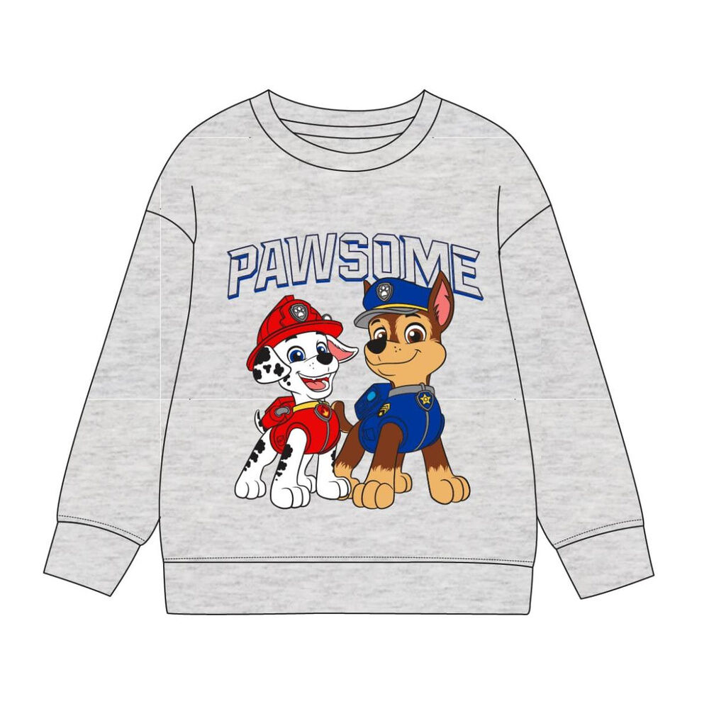 Paw Patrol hoodie