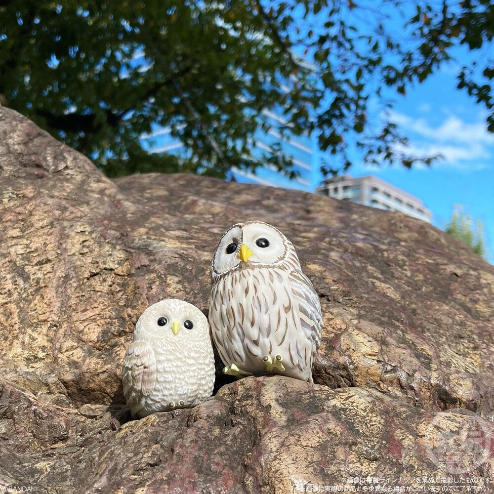 Tenori Friends Birds assorted figure 6cm - Image 12