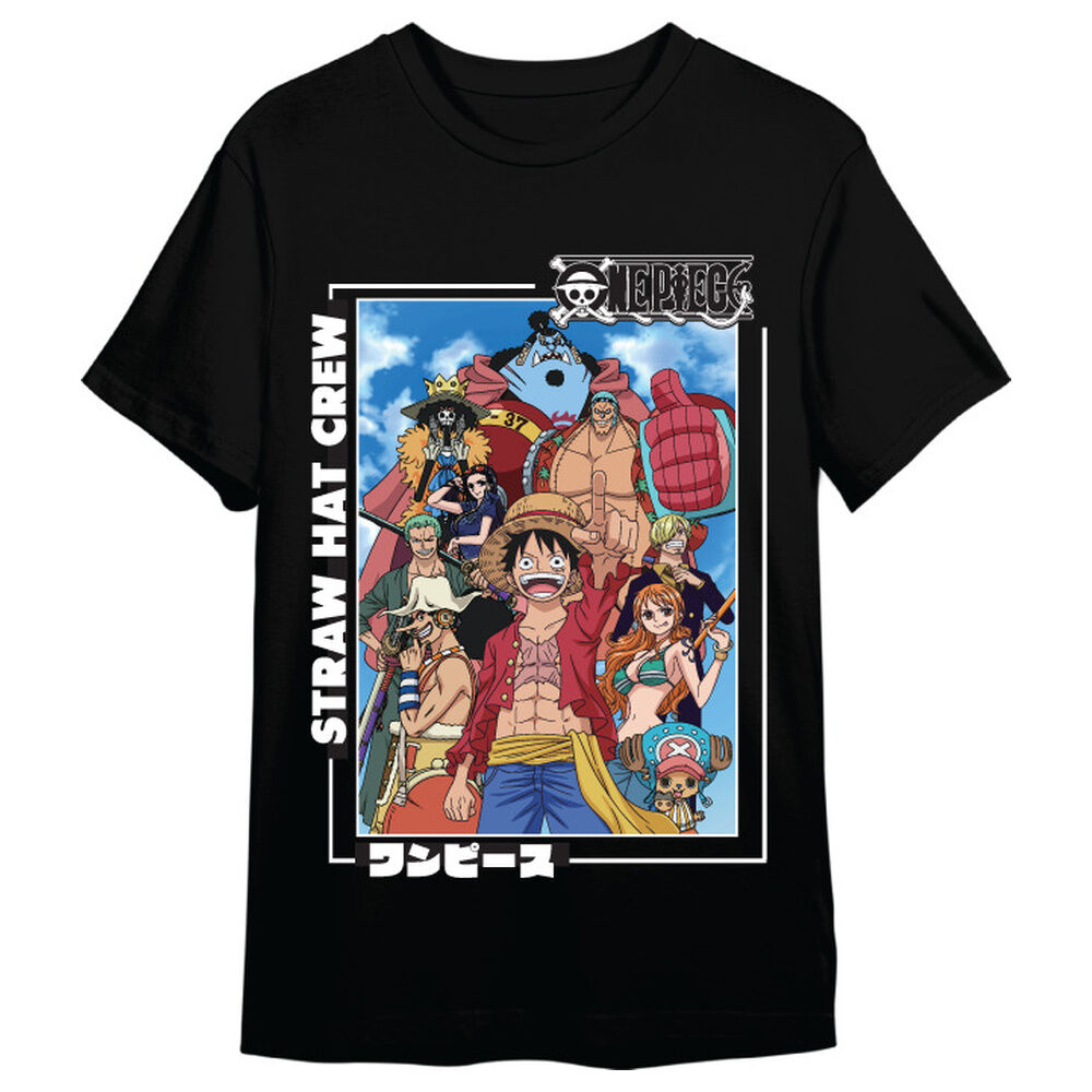 One Piece Straw Hat Crew adult t-shirt