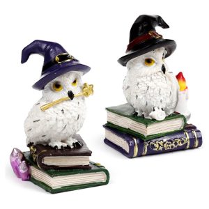 Wise Magic Owl assorted figure