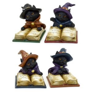 Black Cat Witch's Book of Spells assorted figure