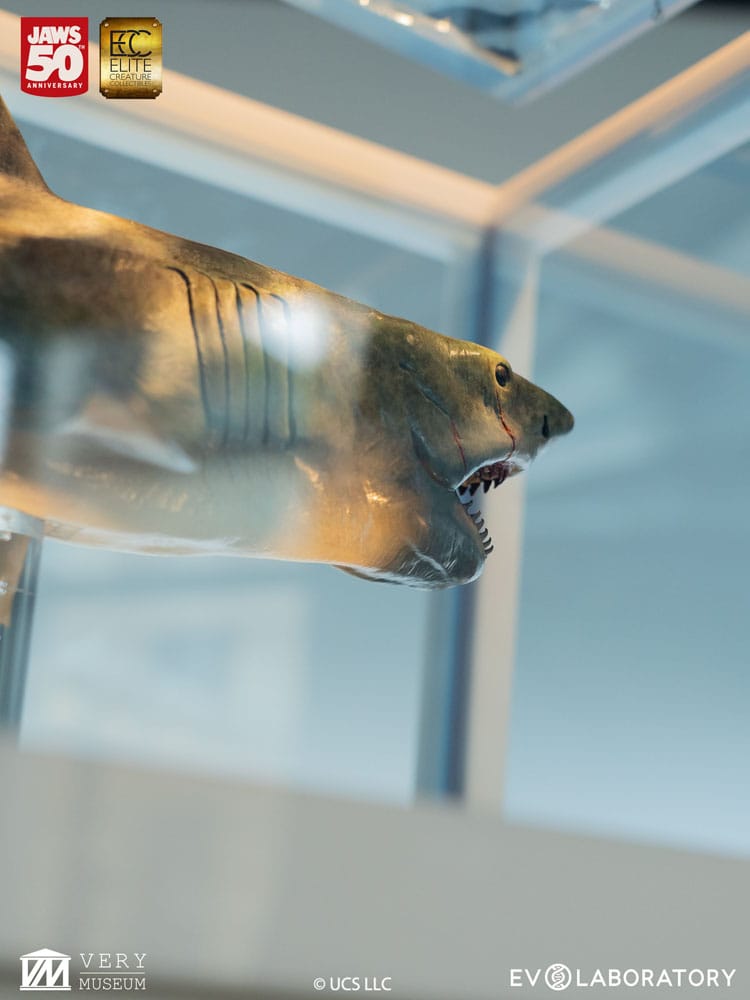 Jaws Maquette 1/18 Jaws Bronze 60 cm - Image 13
