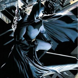 DC Comics Glass Poster Batman Watcher 30 x 40 cm